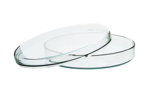 Чашка Петри, внеш.диам.100 мм х высота 17 мм, боросиликатное стекло  Petri Dish, outer dia 100 x 17 mm height, borosilicate glass