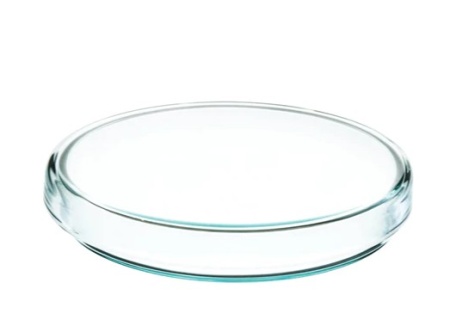 Чашка Петри, внеш.диам.100 мм х высота 15 мм, изготовлена из высококачественного селикатного стекла / Petri Dish, outer dia 100 x 15 mm height, made of high quality soda lime glass