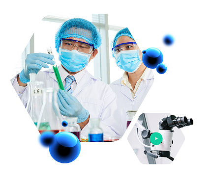 Comprehensive Services